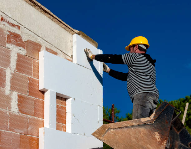 Best Insulation Maintenance and Repair in Sesser, IL