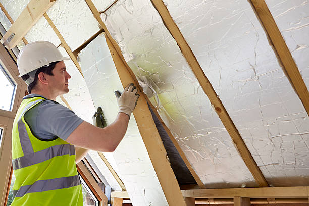 Best Insulation Installation Services in Sesser, IL
